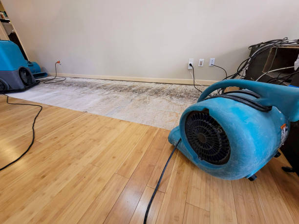 Professional Water Extraction technician working in Crescent City, CA